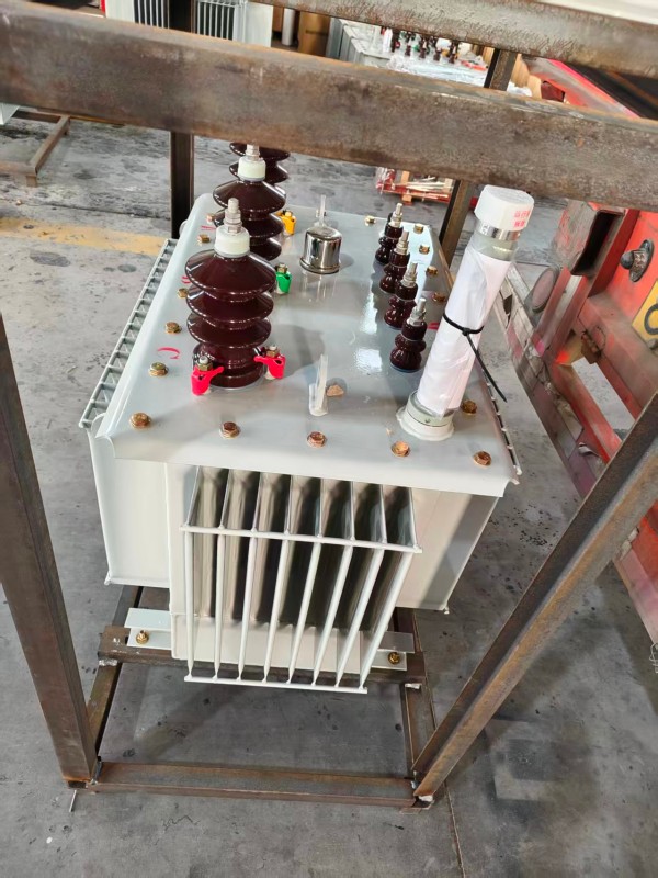 S13‑1000kVA 达拉特达拉特达拉特油浸式变压器 大型厂区 S13 达拉特达拉特达拉特油浸式变压器